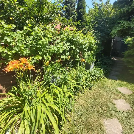 Bungalo, Terrace, Wifi, Faház, Ac, Bbq, Parking Siófok